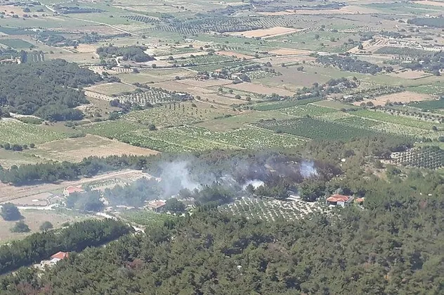 Son dakika: Bozcaada'da ormanlık alanda yangın!