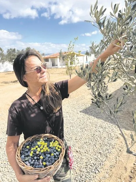 rachel-araz-kiresepinin-kendisine-gelen-hediyeleri-sattigi-ortaya-cikti-urunler-lekeli-cikinca-tepki-cekti-sak-1670886516894.jpeg Rachel Araz Kiresepi'nin kendisine gelen hediyeleri sattığı ortaya çıktı! Ürünler lekeli çıkınca tepki çekti | Saklambaç haberleri-5