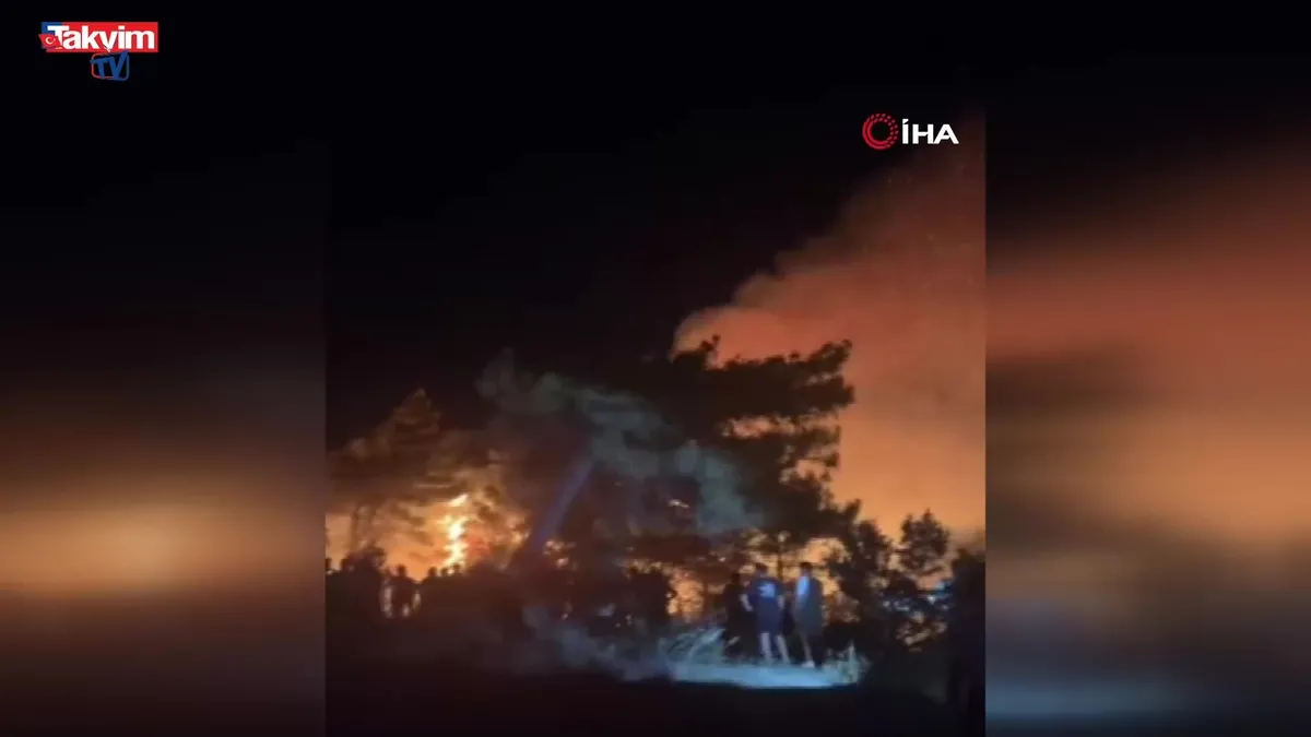 Hatay'da orman yangını