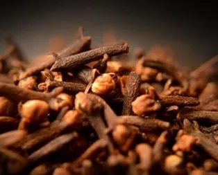 Karanfil saçları besler