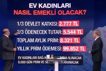Ev kadınlarına nasıl emeklilik olacak? Yeni detaylar... Uzman isim açıkladı!