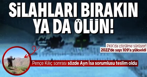 Terör örgütü PKK’da çözülme sürüyor: Gri kategorideki sözde Ayn İsa bölge sorumlusu terörist teslim oldu!