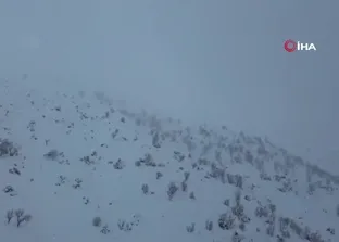 Batman’da ağıla çığ düştü: 45 küçükbaş hayvan telef oldu