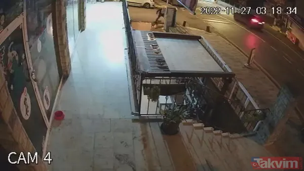 Sarıyer'de köpeği boğmaya çalışan şahsın ifadesi ortaya çıktı! Pes dedirten 'alkol' savunması - 7