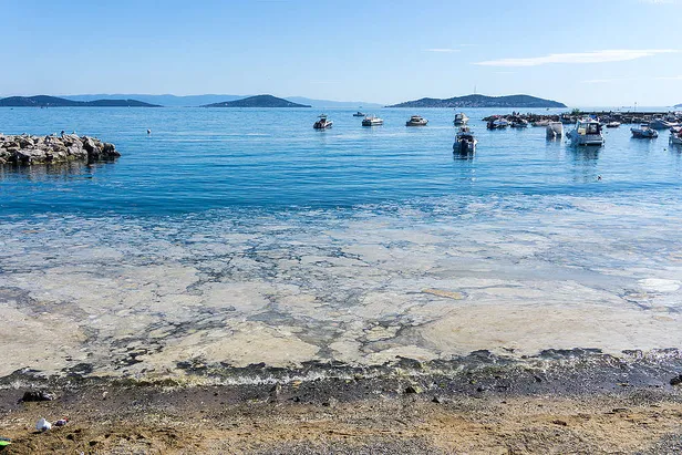 Deniz salyası çözümü nedir? Marmara'da deniz salyası neden oluşur? Müsilaj nedir, nasıl temizlenir?-3