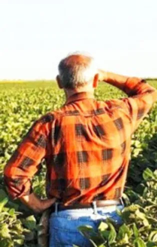 Çiftçilere sahte tohum uyarısı