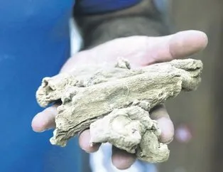 Sağlık mucudi