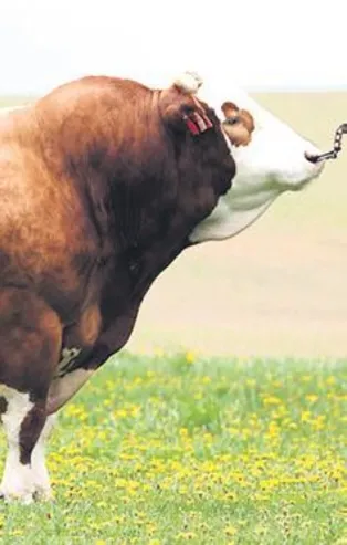 Kars'ta iyileşen hastanın yemek daveti koronayı yeniden artırdı