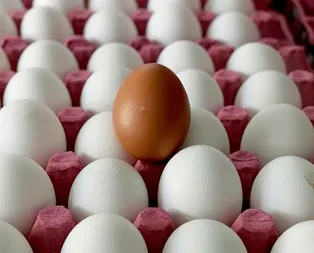 Yumurtada mutluluk var