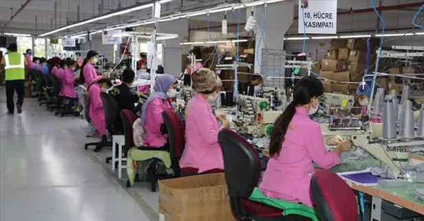 İŞKUR iş ilanları: İŞKUR Mart ayı TYP personel alımı! İşte kadrolar ve başvuru şartları