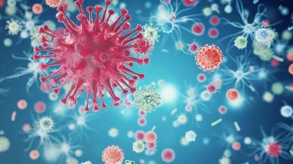 24-saatte-olduruyor-cinde-gorulen-bubonik-veba-nedir-bubonik-veba-belirtileri-nelerdir-1601448254455.jpg 24 saatte öldürüyor! Çin’de görülen Bubonik veba nedir? Bubonik veba belirtileri nelerdir?-2