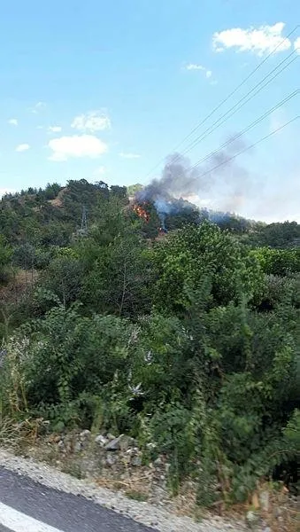 mugla-dalamanda-orman-yangini-1655813288179.jpeg Muğla Dalaman'da orman yangını!-1