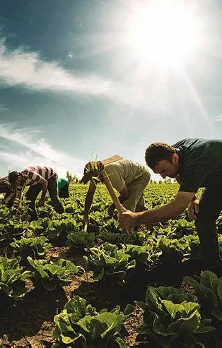 Yatırım ve istihdama Hazine arazisi desteği! 49 yıl süreli bedelsiz veriliyor