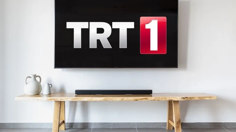 trt-1-hd-canli-izle-turkiye-brezilya-bronz-madalya-maci-tabii-canli-yayin-ekrani-10-agustos-2024-cumartesi-trt-1723300714302.jpg TRT 1 HD CANLI İZLE | TABİİ canlı yayın ekranı! TRT 1 frekans bilgileri...-2