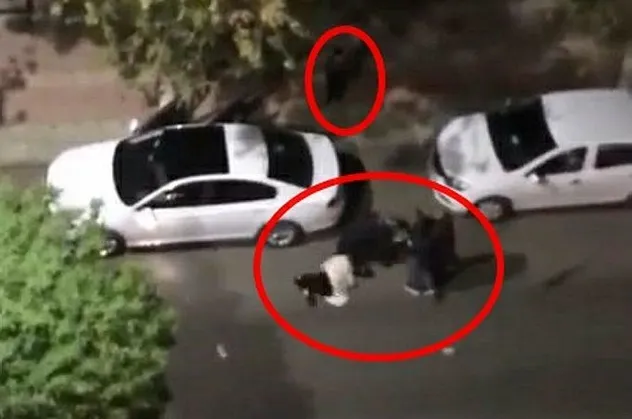 Siirt'te dehşet anları! Yol ortasında kadını yere yatırdı tekme tokat darbetti