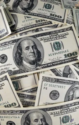 Bakan Zeybekçi'den dolar açıklaması