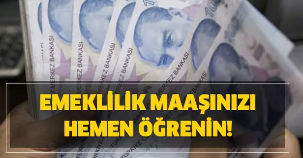 Emekli olduğunuzda ne kadar maaş alacaksınız? Emeklilik maaşınızı hemen öğrenin!