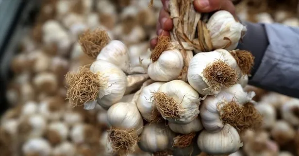 Enfeksiyona sarımsak