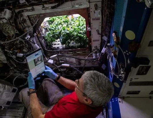 ’Uzay biberlerinden’ uzay takosu!