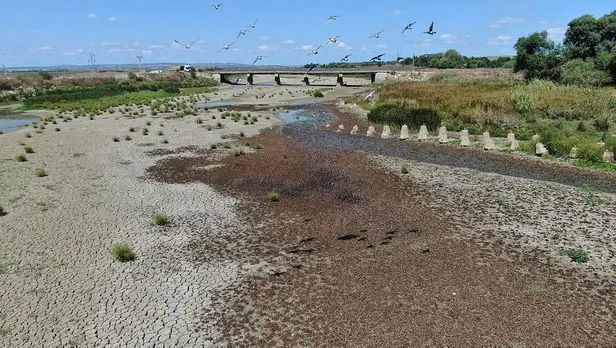 Son dakika: Büyükçekmece Gölü'nde korkutan görüntü! "Daha önce hiç bu kadar kurumamıştı"-5