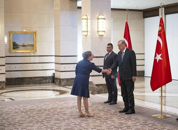 Başkan Erdoğan'dan 'güven mektubu' kabulü! İsrail Büyükelçisi Lillian ile dikkat çeken diyalog: Herzog'dan Türkçe mesaj-6