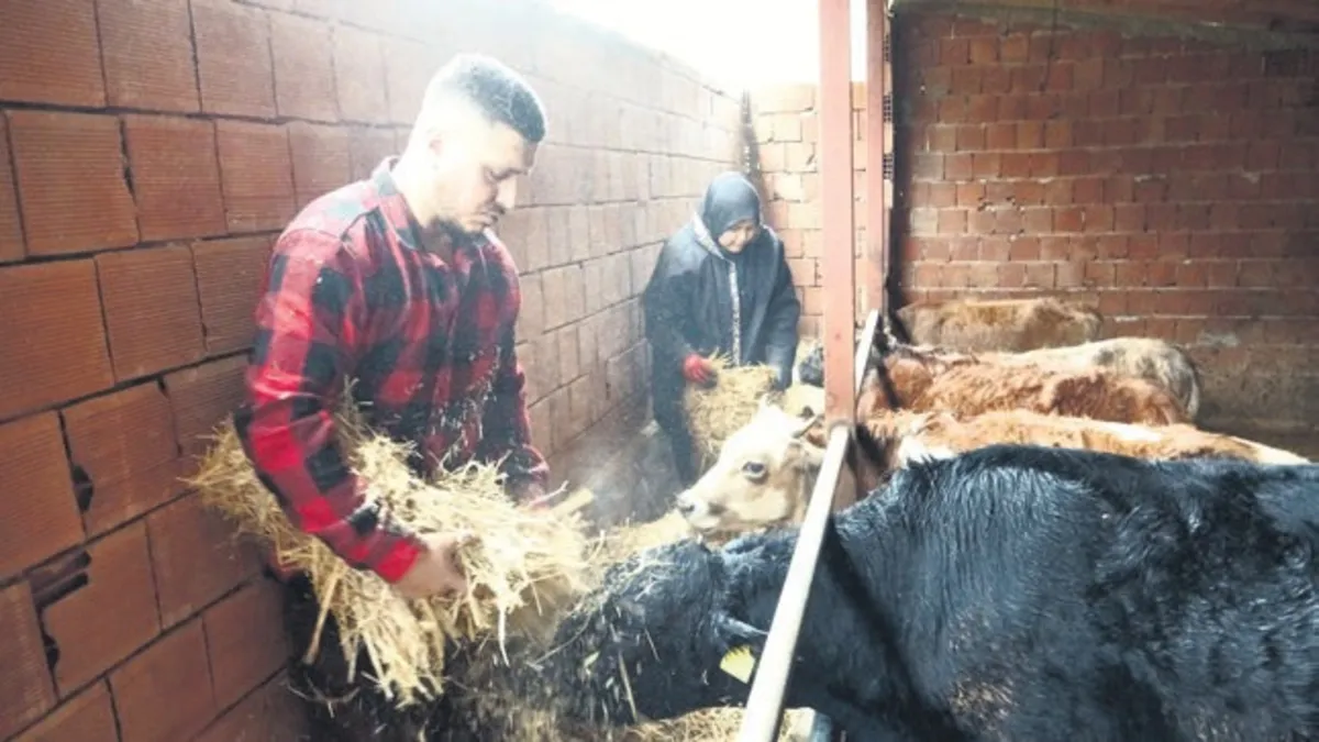 Almanya’yı bıraktı köyüne döndü! “Robot gibi çalışacağıma çoban olurum”