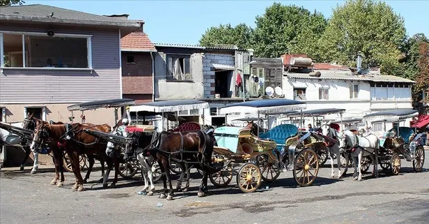 İstanbul Valisi Ali Yerlikaya kritik Adalar toplantısı sonrası açıkladı: 3 ay boyunca fayton yok!