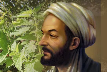 Akciğerleri pırıl pırıl ediyor! İbn-i Sina’nın asırlık reçetesi: Etkisi inanılmaz!