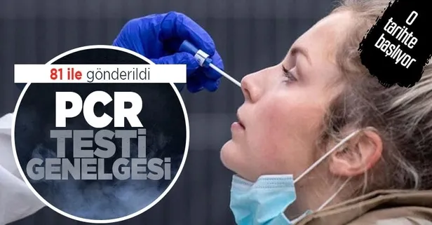 İçişleri Bakanlığı'ndan PCR testi genelgesi! Uçak ve otobüs yolculuğu, konser, sinema...