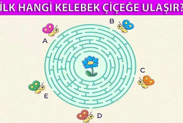 Bu zeka bulmacası büyüteç gibi göz istiyor! 100 kişiden 3’ü bile çözemedi! İlk hangi kelebek çiçeğe ulaşır?