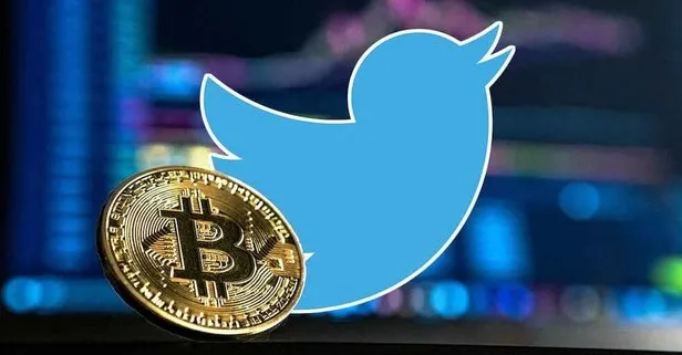 Twitter bahşiş özelliği nasıl ayarlanır? Twitter bahşiş özelliği nedir, nasıl kullanılır? Twitter bahiş kutusu bitcoin ve para gönderiliyor mu?