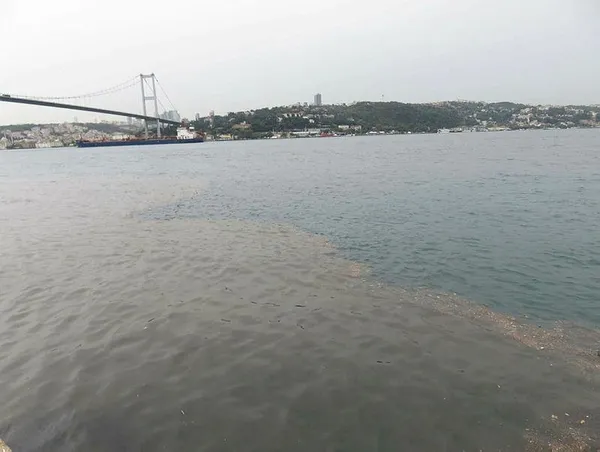 İstanbul Boğazı'na yağmur sonrası çamur aktı! Suyun rengi değişti-2
