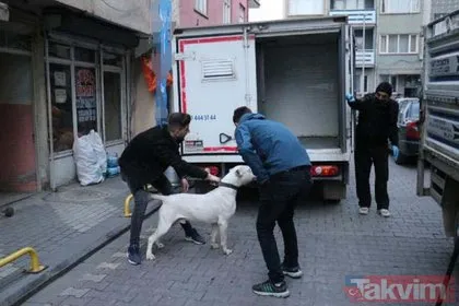 Malatya’da ’pitbull’lu dehşet! Kavga ettiği kişilerin üzerine köpeği saldı: 3 yaralı