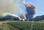 İZLE I Çanakkale’de orman yangını: Havadan ve karadan müdahale sürüyor
