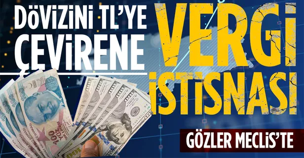 Dövizini TL’ye çevirene vergi istisnası! Dolar ve Euro’sunu TL’ye çeviren şirketler yılsonuna kadar...