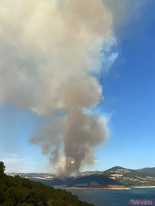 Havadan ayrı karadan ayrı müdahale! Çanakkale'de yangın ormanlık alana sıçradı! - 4