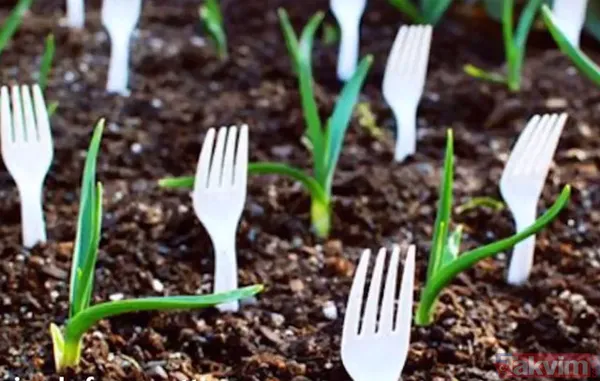Bunun için çözüm ise toprağa çatal batırmak! Çatal, ektiğiniz bitkileri hayvanlardan koruyacak. Siz de gönül rahatlığıyla bahçecilik işlerinizi...