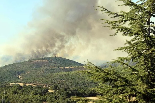 Son dakika: Uşak'ta orman yangını kontrol altına alındı