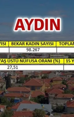 TÜİK verilerine göre hangi ilde kaç bekar var?