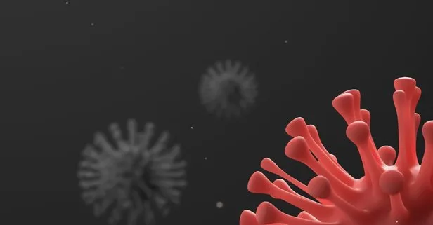 Koronavirüs korkusu jinekolojik kansere yol açabilir