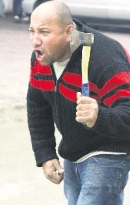 Almanya’da baltalı panik artıyor