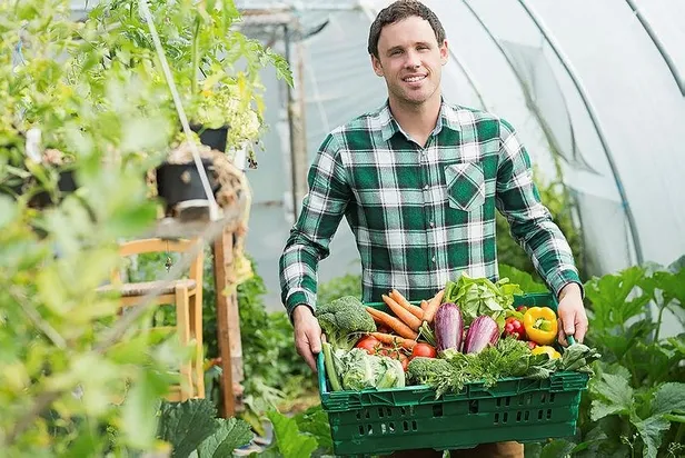 Başkan Erdoğan'dan gıda güvenliği için üç talimat-9