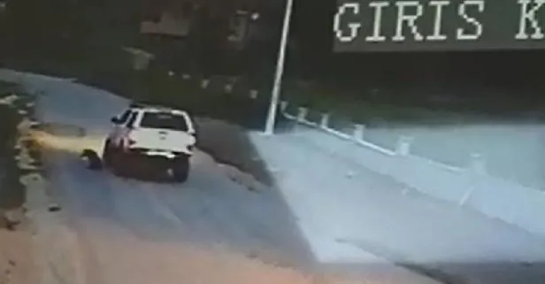 Cipiyle köpeği ezip yoluna devam etti