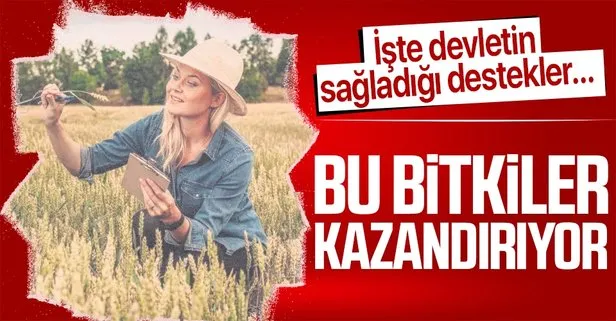 Bu bitkiler kazandırıyor
