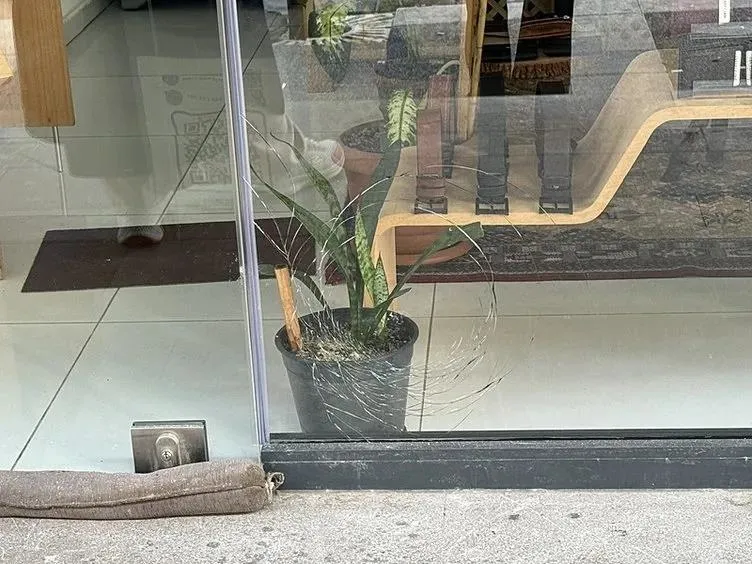 kagithane-saldirisinda-yeni-detaylar-ifadesi-ortaya-cikti-filistinli-is-insani-neden-olduruldu-1724127624838.jpeg Kağıthane saldırısında yeni detaylar! İfadesi ortaya çıktı! Filistinli iş insanı neden öldürüldü? | 3 şüpheli Romanya'da yakalandı-6