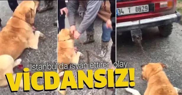 Son dakika: Büyükçekmece’de vahşet! Köpeği otomobilinin arkasına bağlayıp yerde sürükledi