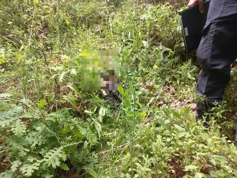 1713962157298.jpeg Korhan Berzeg kimdir, kaç yaşında? Kayıp ekonomist Korhan Berzeg bulundu mu? Berzeg'e ne oldu? Kemik ve kimlik detayı...-3