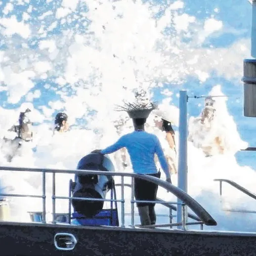 Teknede köpük partisi meydanlarda protesto