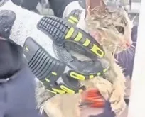 Çankırı’da otomobil stepnesine sıkışan kedi itfaiye tarafından kurtarıld