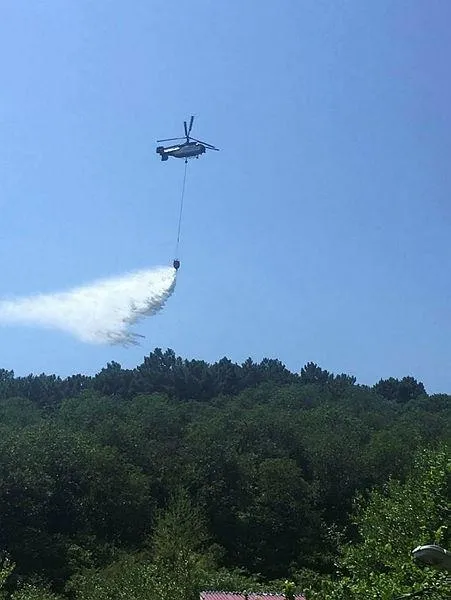 Son dakika: Aydos Ormanı'da yangın paniği! Yine sabotaj şüphesi-4